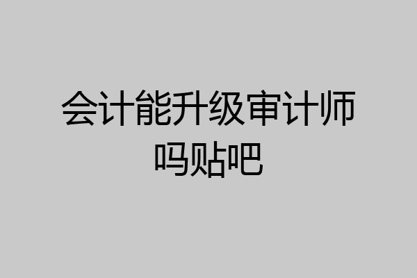 会计能升级审计师吗贴吧