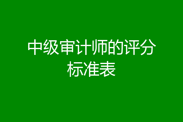 中级审计师的评分标准表