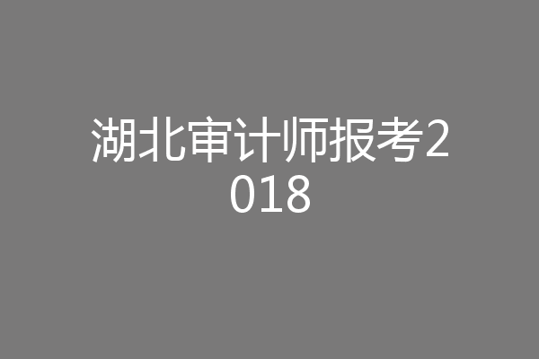 湖北审计师报考2018