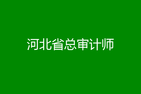 河北省总审计师