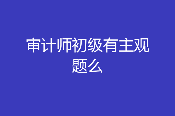 审计师初级有主观题么