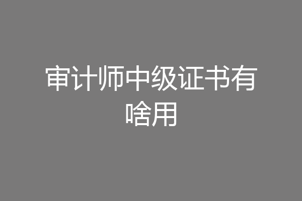 审计师中级证书有啥用