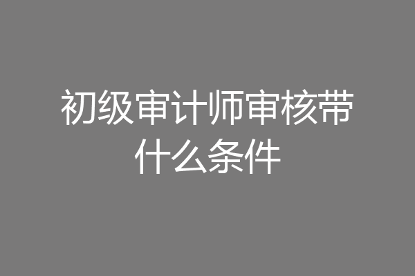初级审计师审核带什么条件