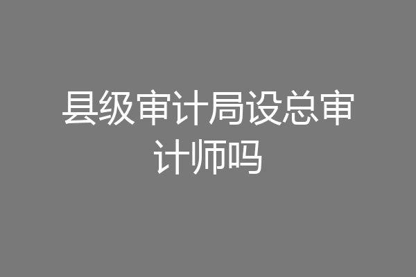 县级审计局设总审计师吗