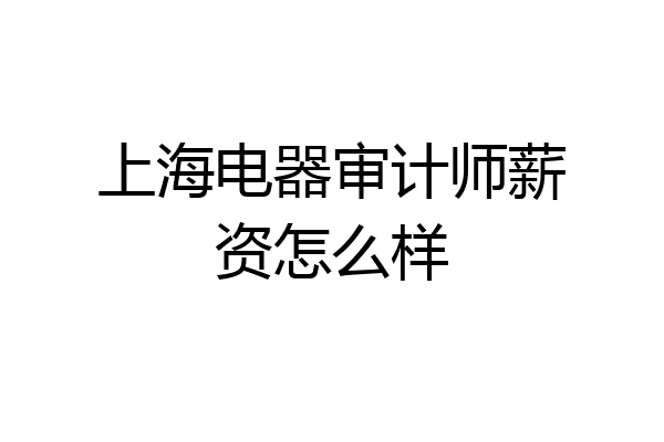 上海电器审计师薪资怎么样