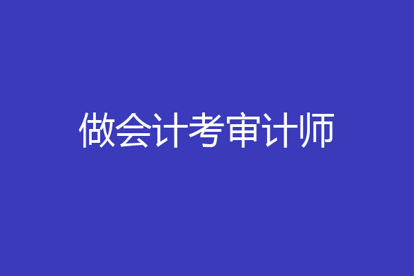 做会计考审计师