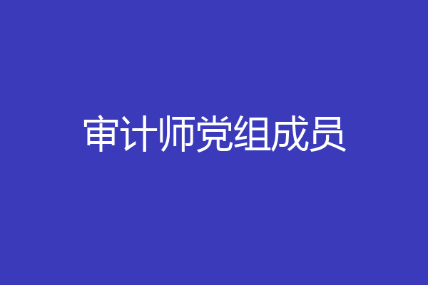 审计师党组成员