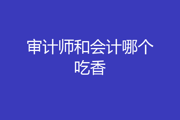 审计师和会计哪个吃香