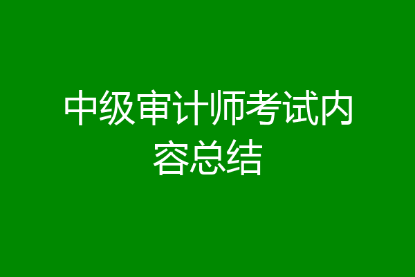 中级审计师考试内容总结