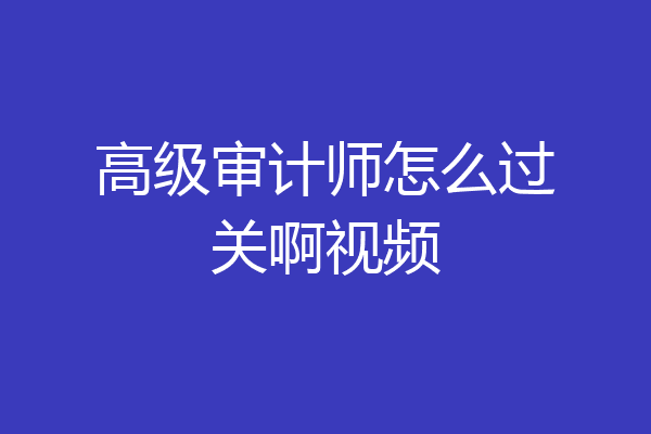高级审计师怎么过关啊视频