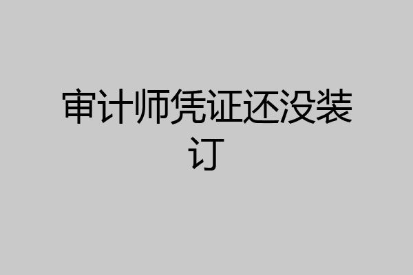 审计师凭证还没装订