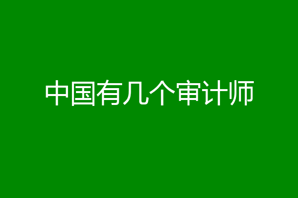 中国有几个审计师
