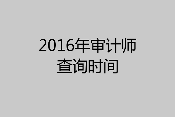 2016年审计师查询时间