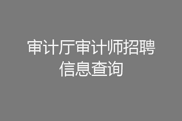 审计厅审计师招聘信息查询