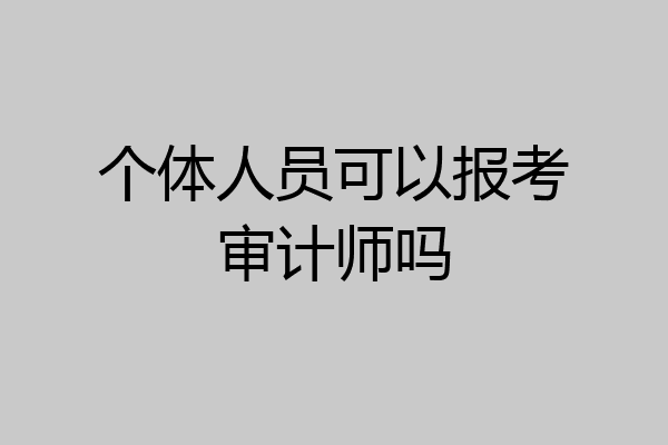 个体人员可以报考审计师吗