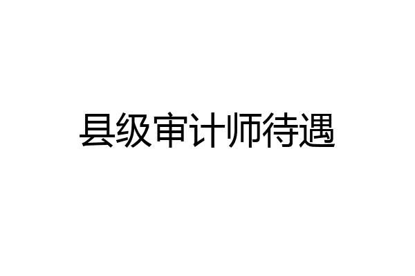 县级审计师待遇