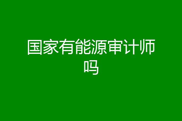 国家有能源审计师吗