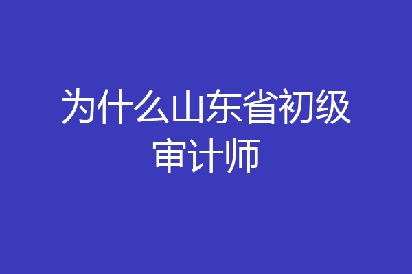 为什么山东省初级审计师