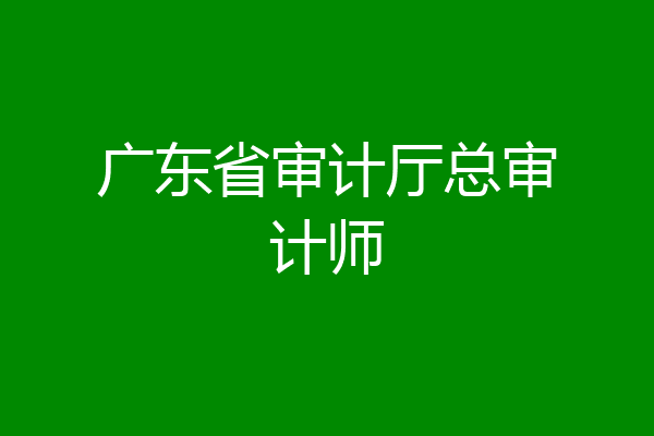 广东省审计厅总审计师