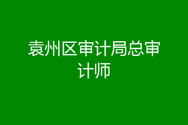 袁州区审计局总审计师