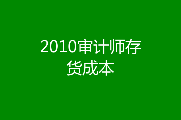 2010审计师存货成本