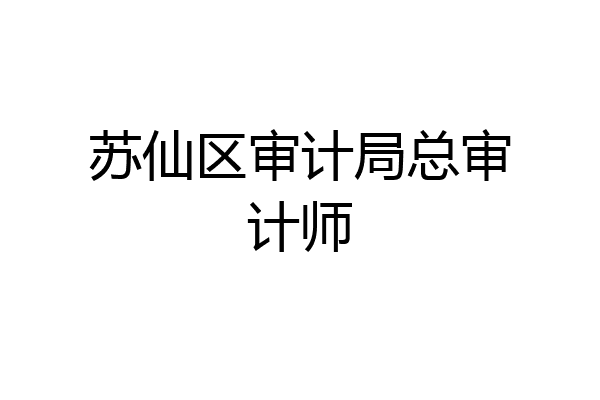 苏仙区审计局总审计师