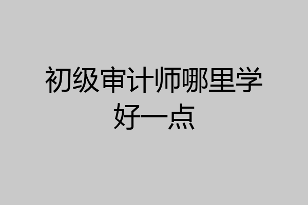 初级审计师哪里学好一点