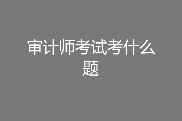 审计师考试考什么题