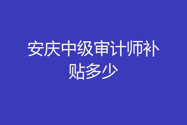 安庆中级审计师补贴多少