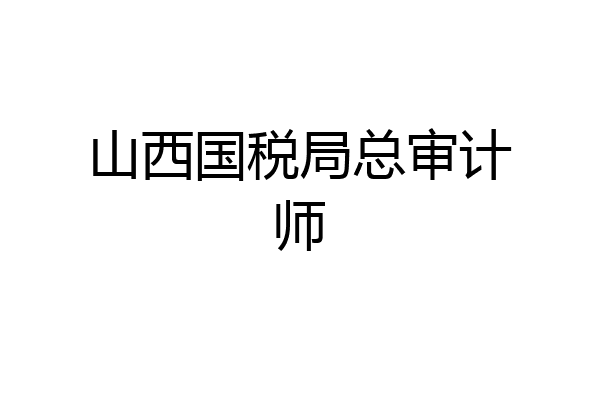 山西国税局总审计师