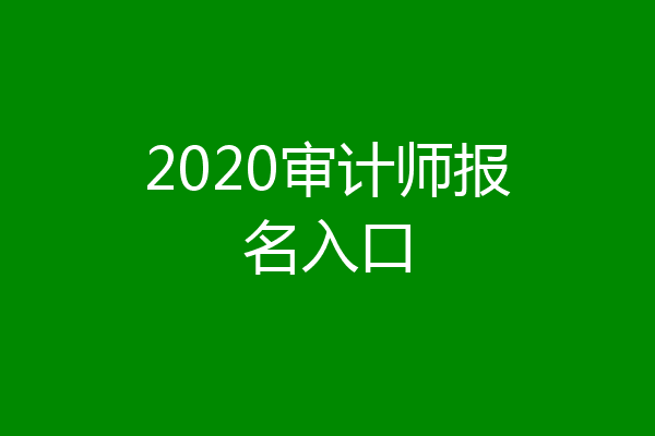 2020审计师报名入口