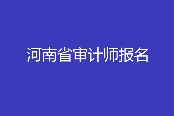 河南省审计师报名