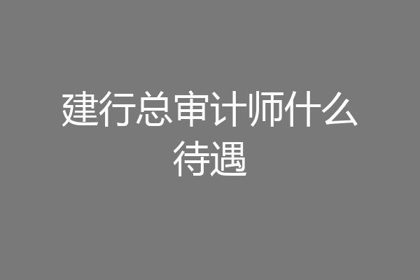 建行总审计师什么待遇