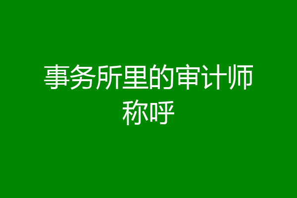 事务所里的审计师称呼
