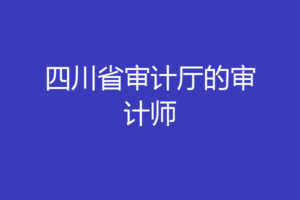四川省审计厅的审计师