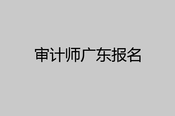 审计师广东报名