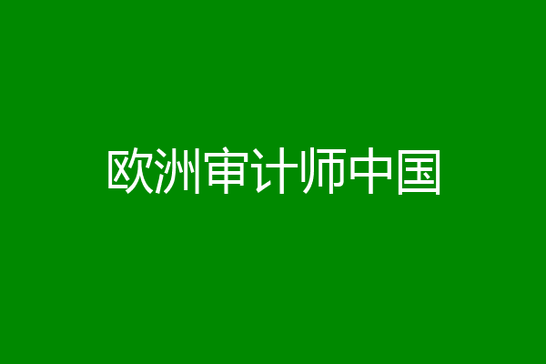 欧洲审计师中国