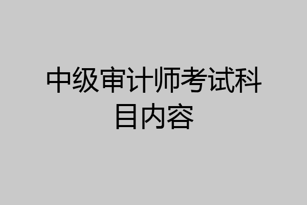 中级审计师考试科目内容