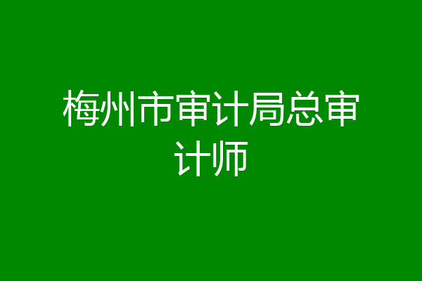 梅州市审计局总审计师