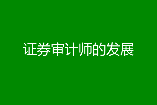 证券审计师的发展