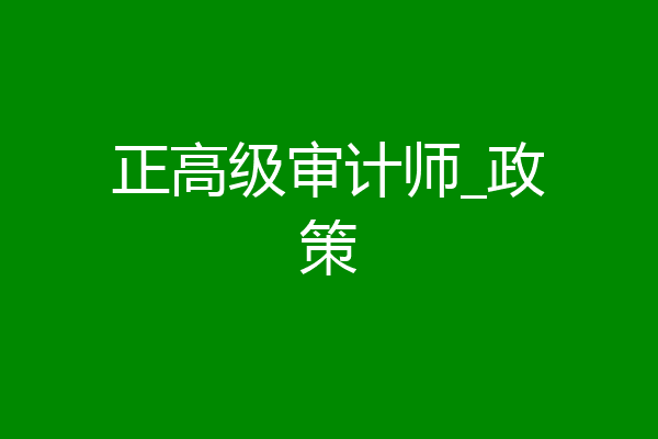 正高级审计师_政策