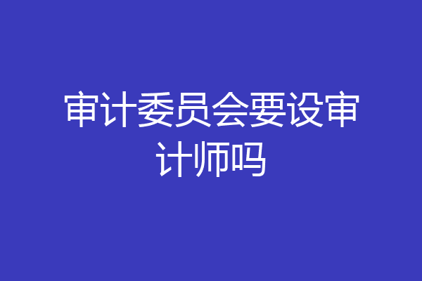 审计委员会要设审计师吗