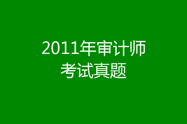 2011年审计师考试真题