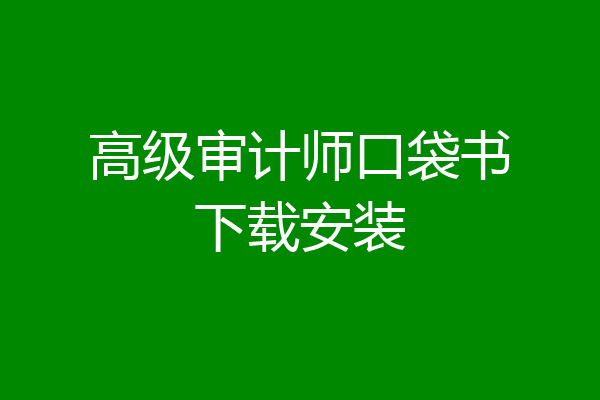 高级审计师口袋书下载安装