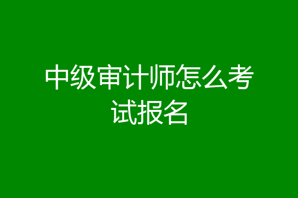 中级审计师怎么考试报名