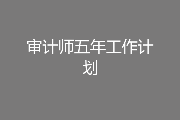 审计师五年工作计划