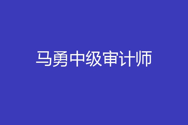 马勇中级审计师