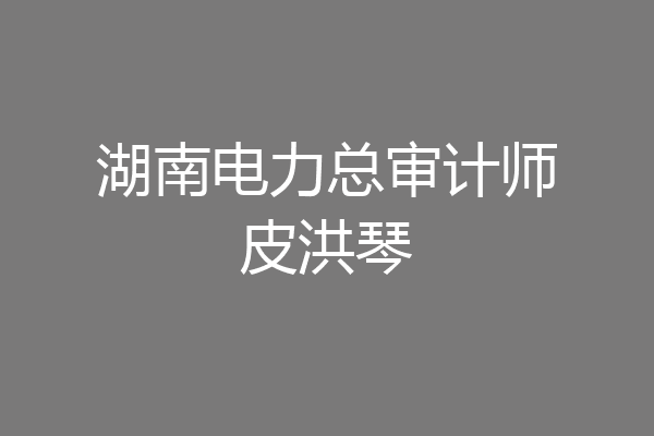 湖南电力总审计师皮洪琴