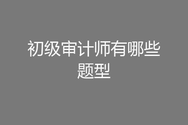 初级审计师有哪些题型