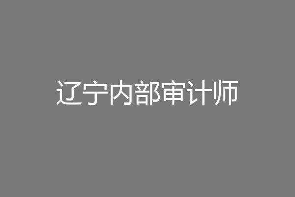 辽宁内部审计师